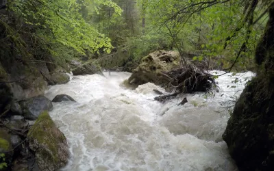 Entrée de la Gorge - Premier seuil - 60cm à l'échelle 